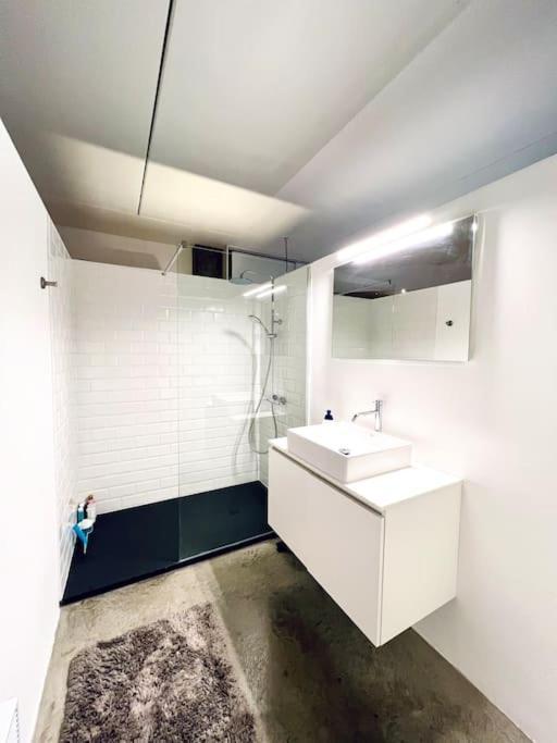 Apartment Loft - Eilandje