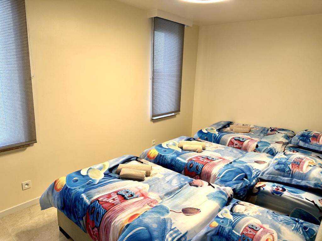Apartment Renovated In Center *