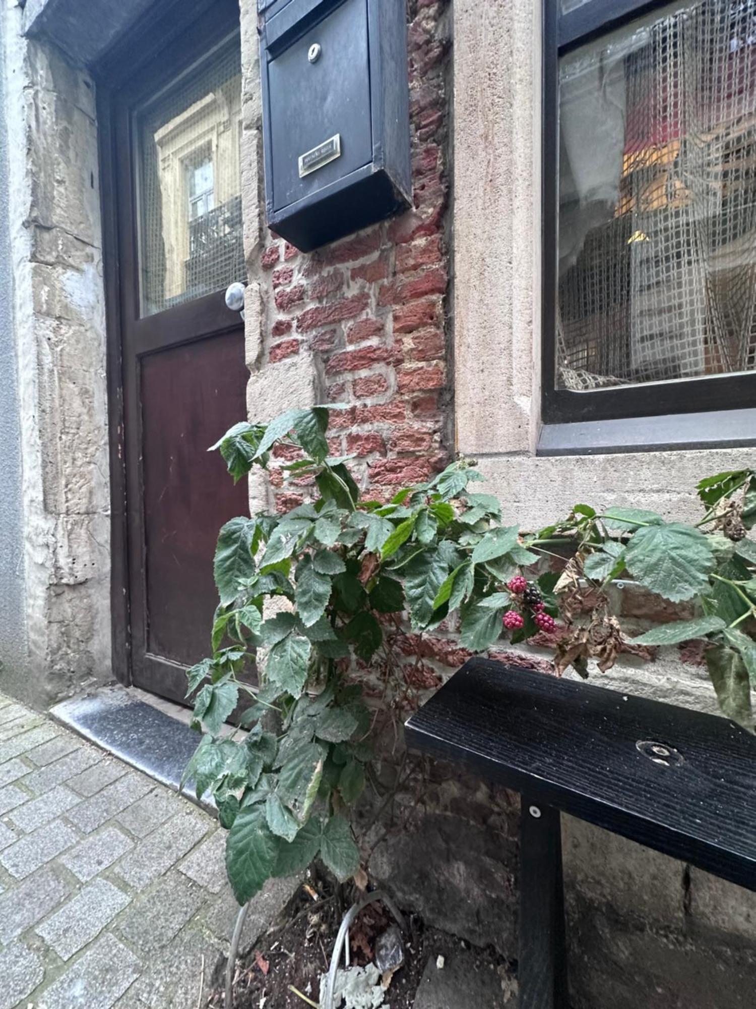 Bed And Coffe Cl Bed & Breakfast Antwerp