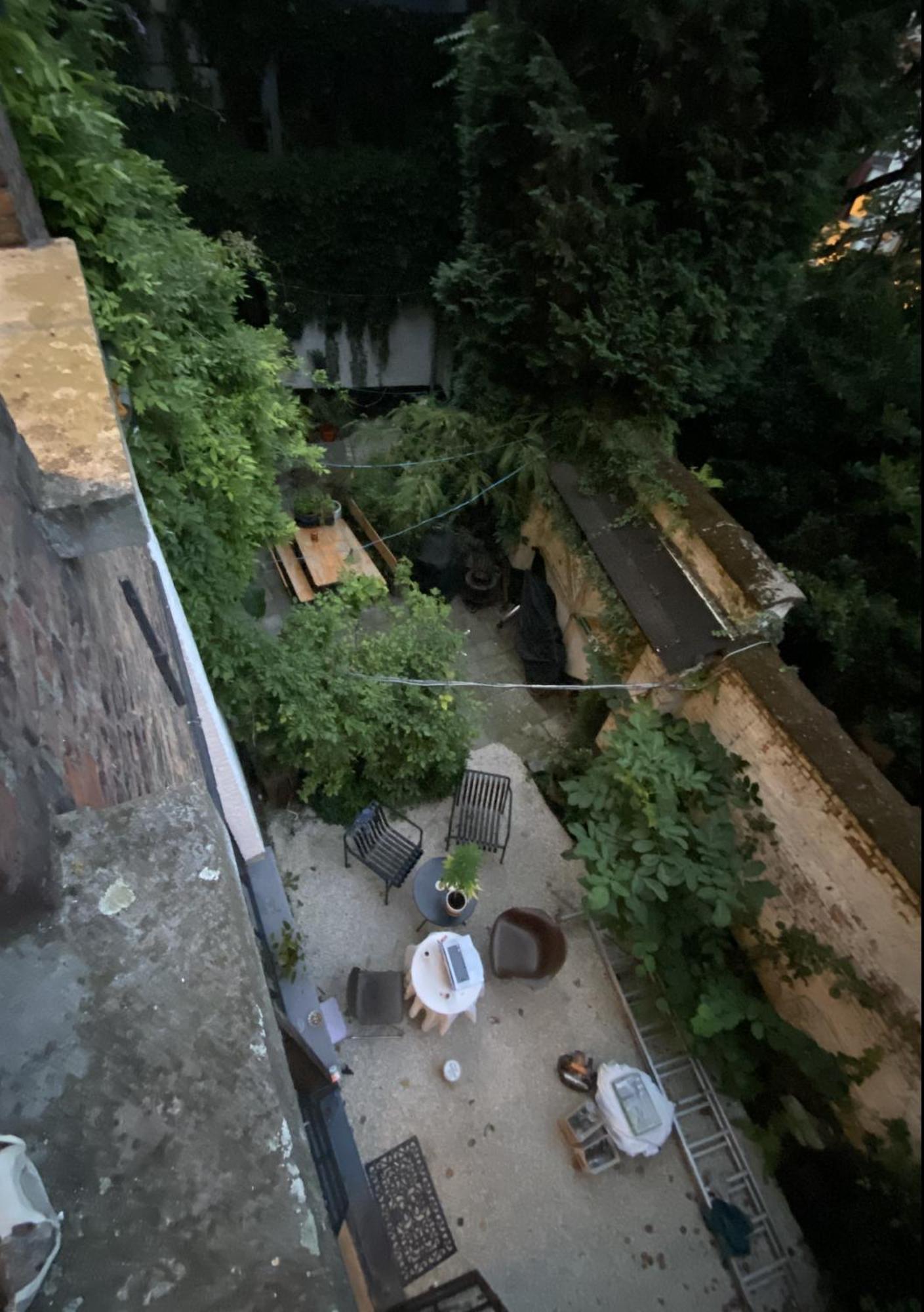 Pomalo Antwerp