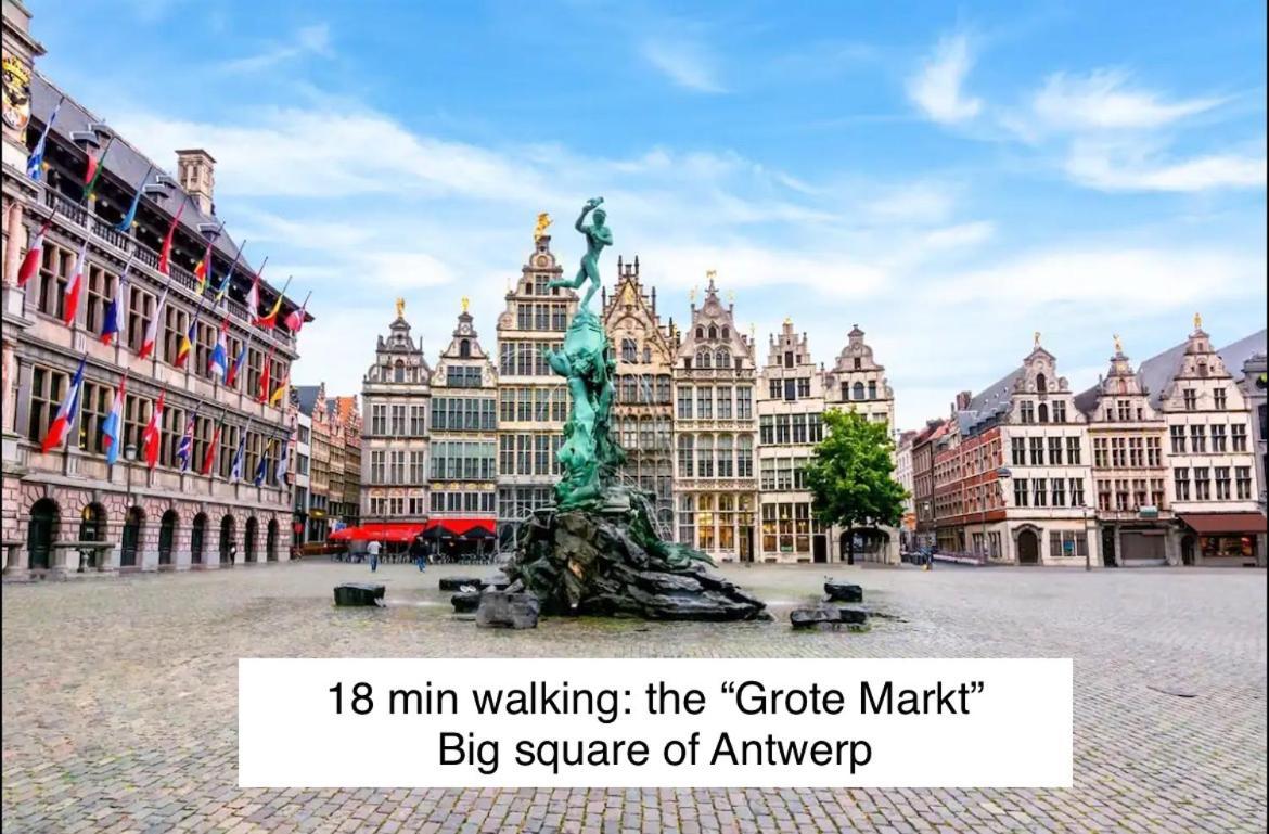 Little Gem In The Historic Center Apartment Antwerp