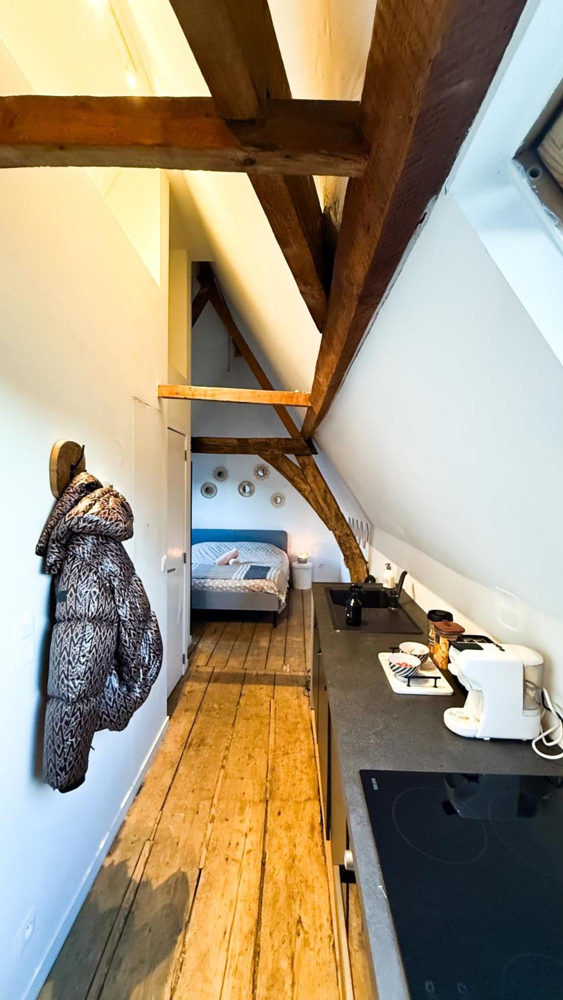 Cosy Authentiek Penthouse * Antwerp