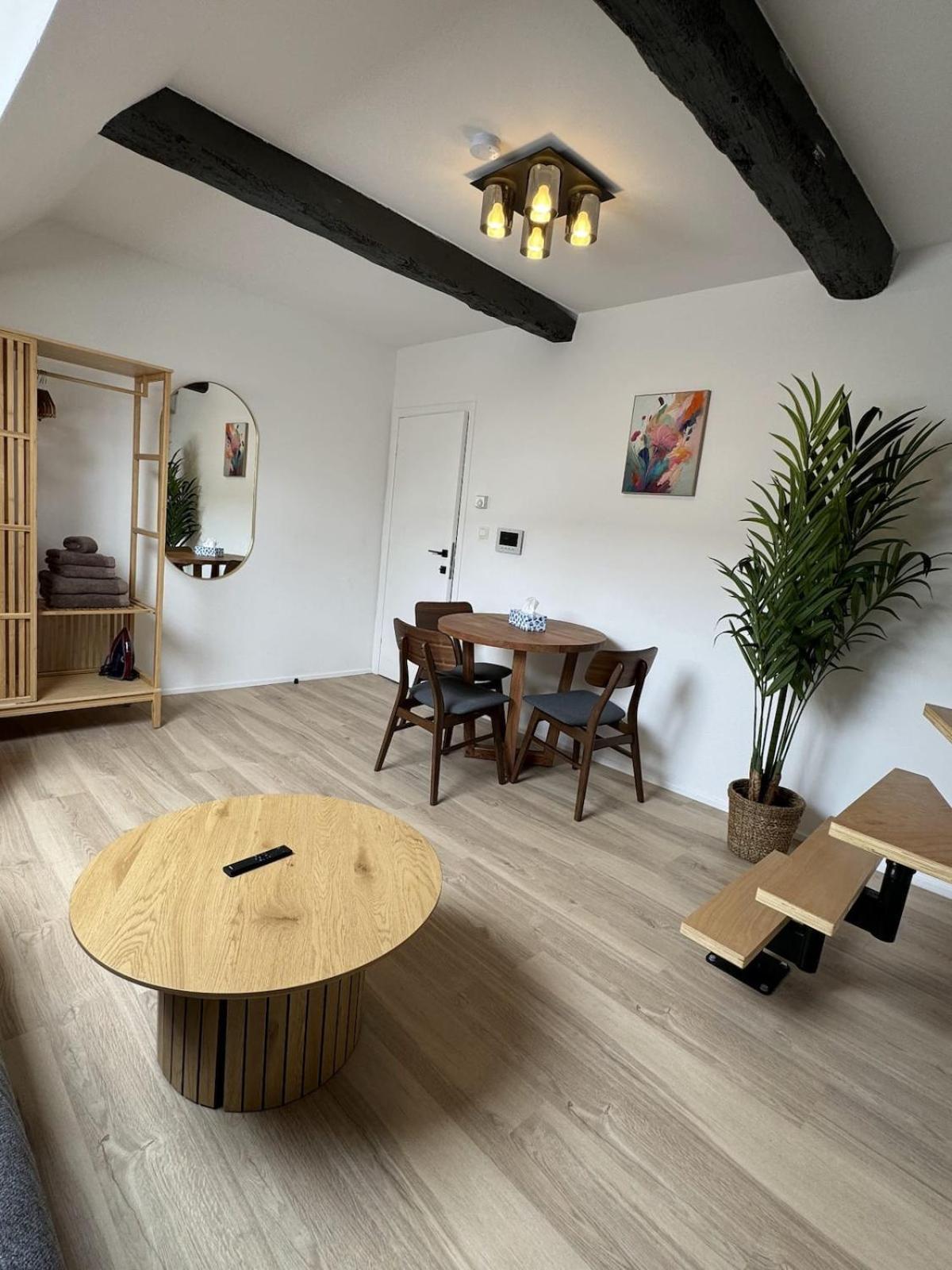 Luxury Suites Royal By Rikas Hotels Apartment Antwerp