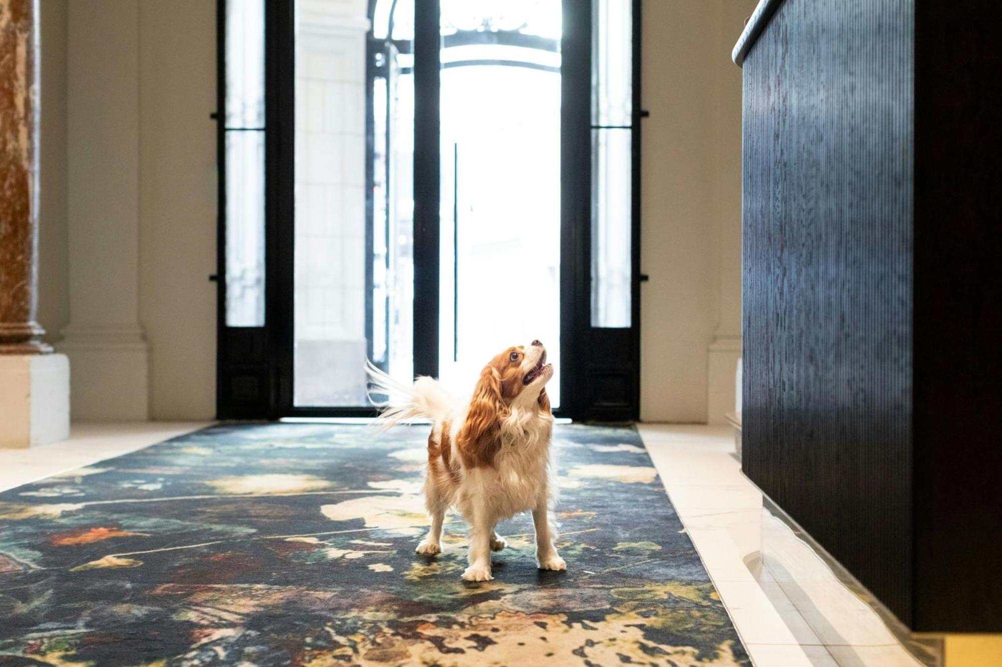 Sapphire House Antwerp, Autograph Collection By Marriott 5*