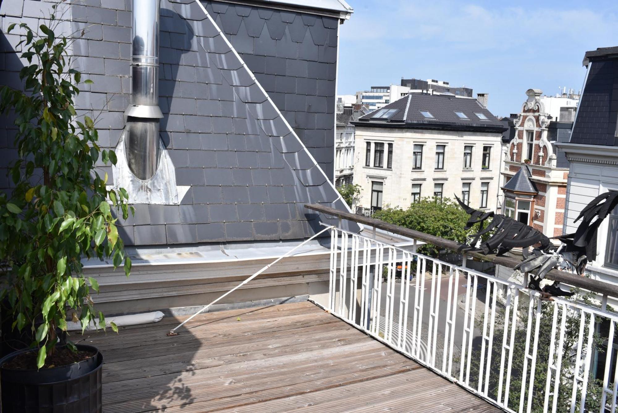 Walvis Bed & Breakfast Antwerp