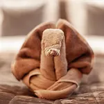 Luxury Suites Palace By Rikas Hotels