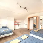 Large Authentic Antwerp Apartments