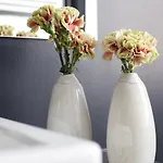 B&B Rosier 10