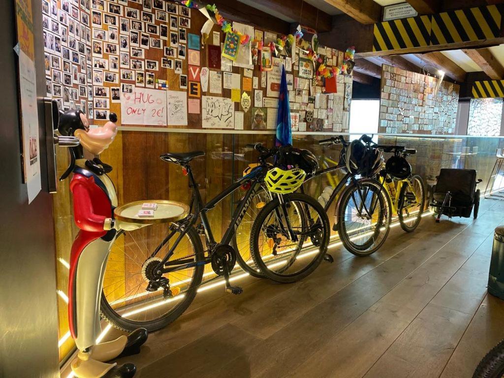 Antwerp City Hostel Hostel Antwerpen