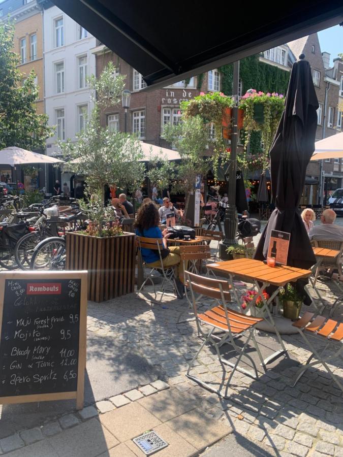 Maju * Antwerpen