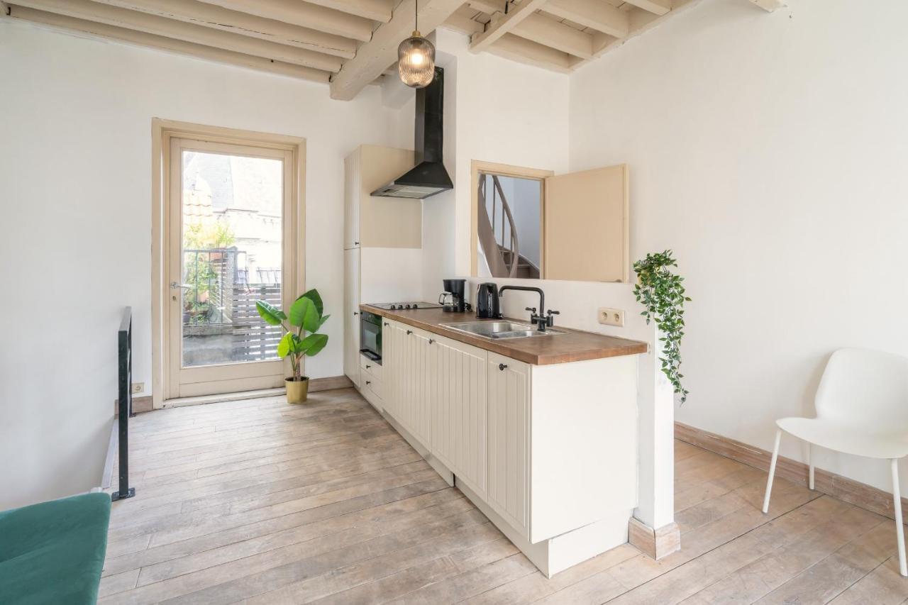 Tempel Triplex & Duplex At Historic Heart Of Antwerpen