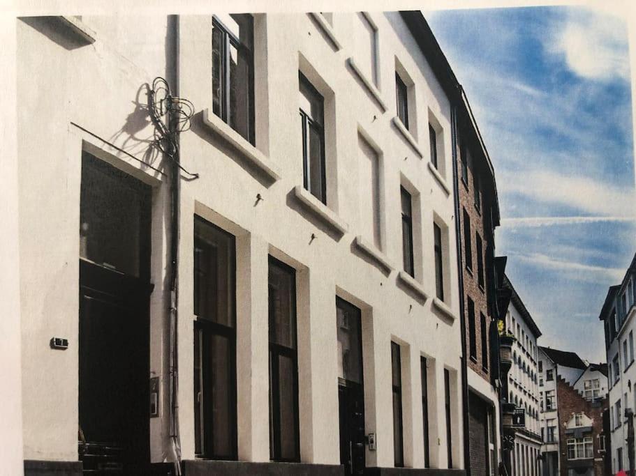 Hippe In Historisch Gebouw In Oude Centrum Appartement Antwerpen