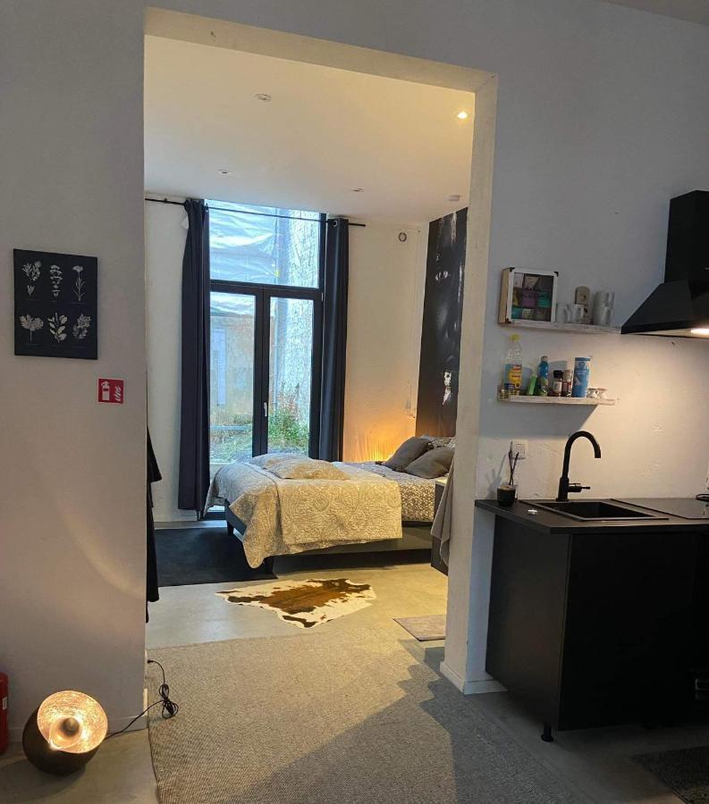 Apartment Garden In Center Antwerp