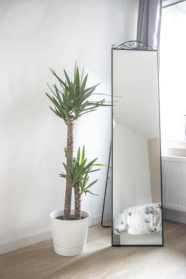 Nsd Appartement Antwerpen