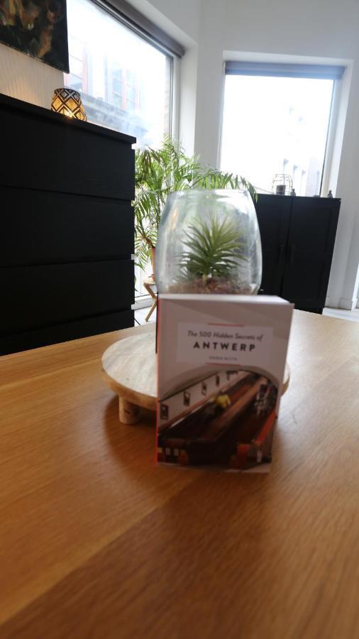 Studio 200 Meters From Central Station Antwerp