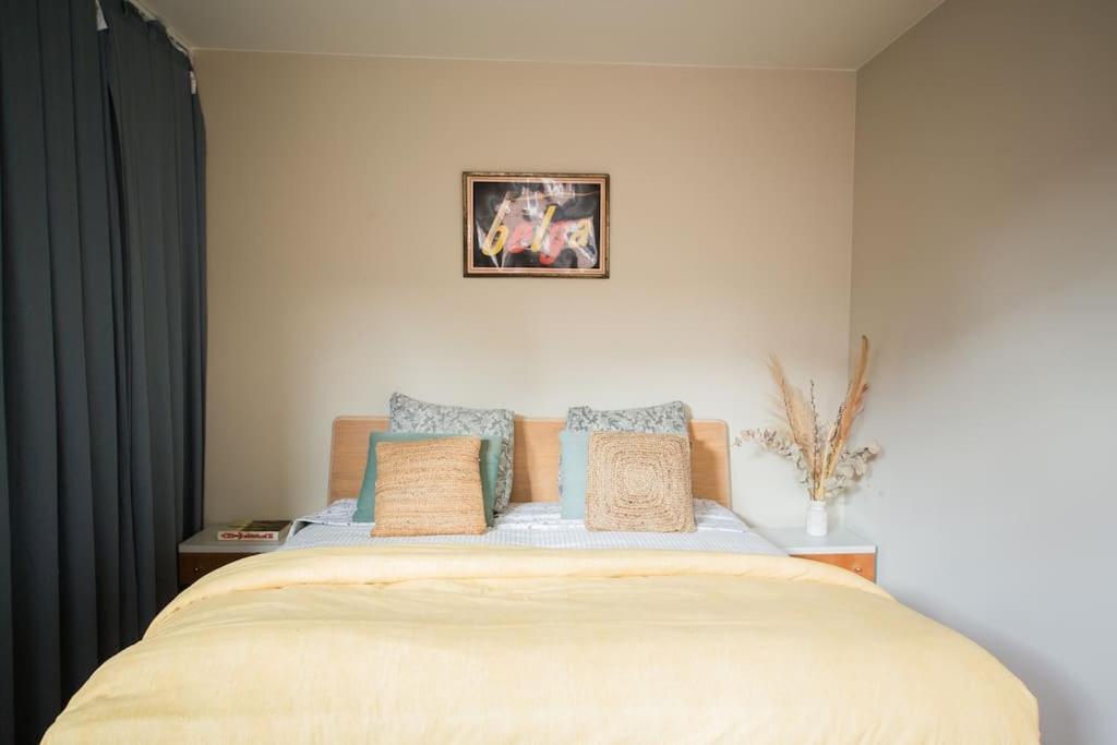 Local In Charming Zuid Area * Antwerp