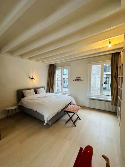 Apartment Charmante Woning In Center Antwerp
