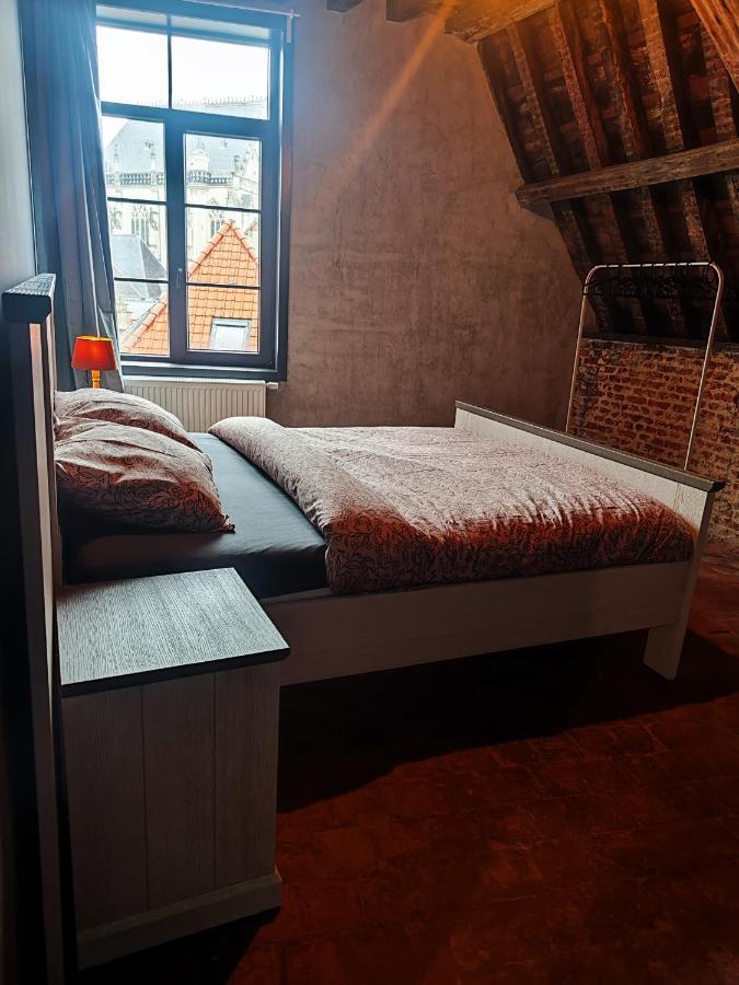 Apartment Rooftop With 60m Terrace Overlooking The Cathedral Antwerpen