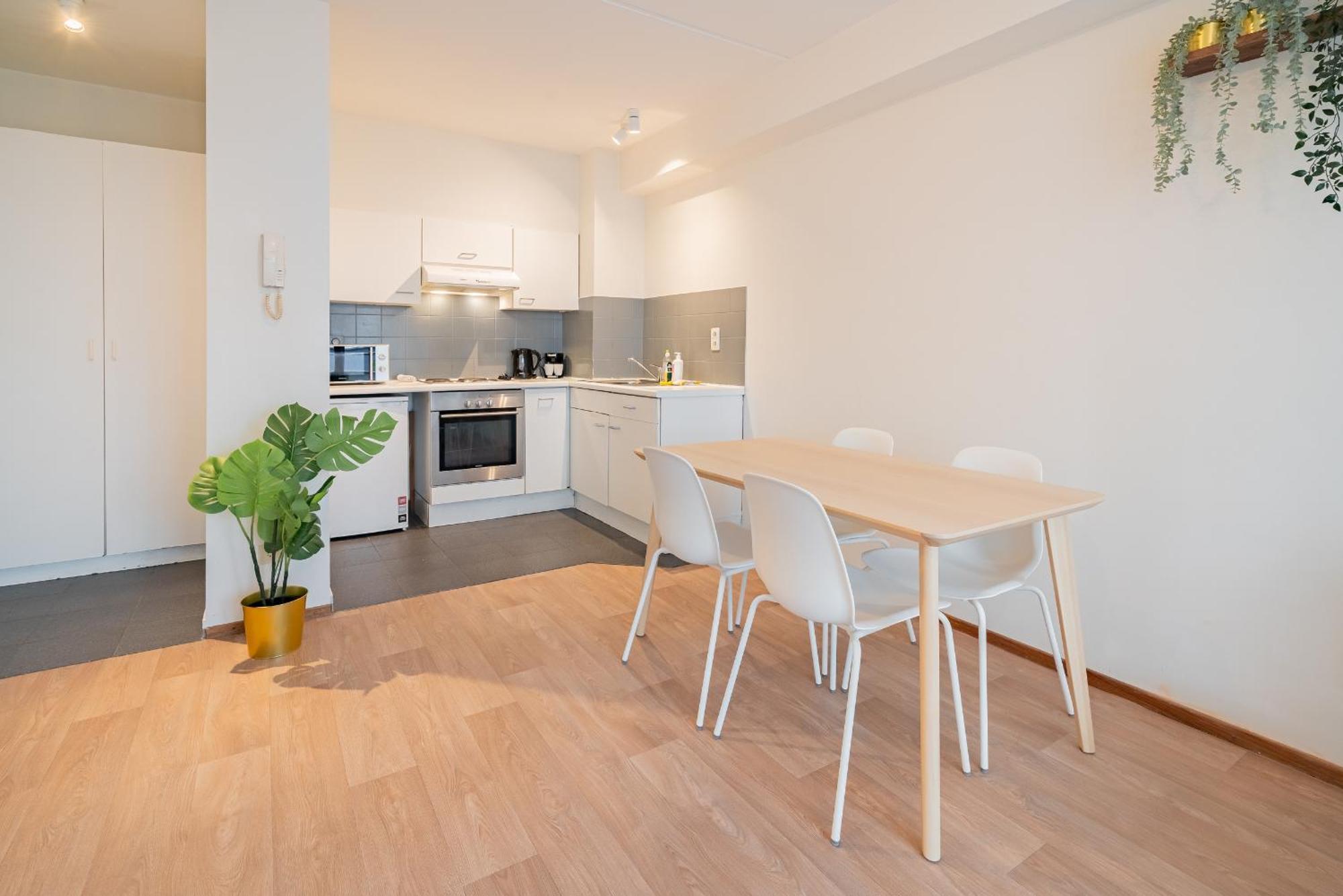 Bright In The Heart Of Appartement Antwerpen