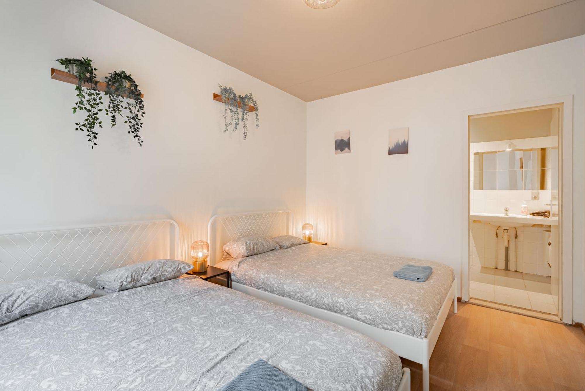 Bright In The Heart Of Apartment Antwerp