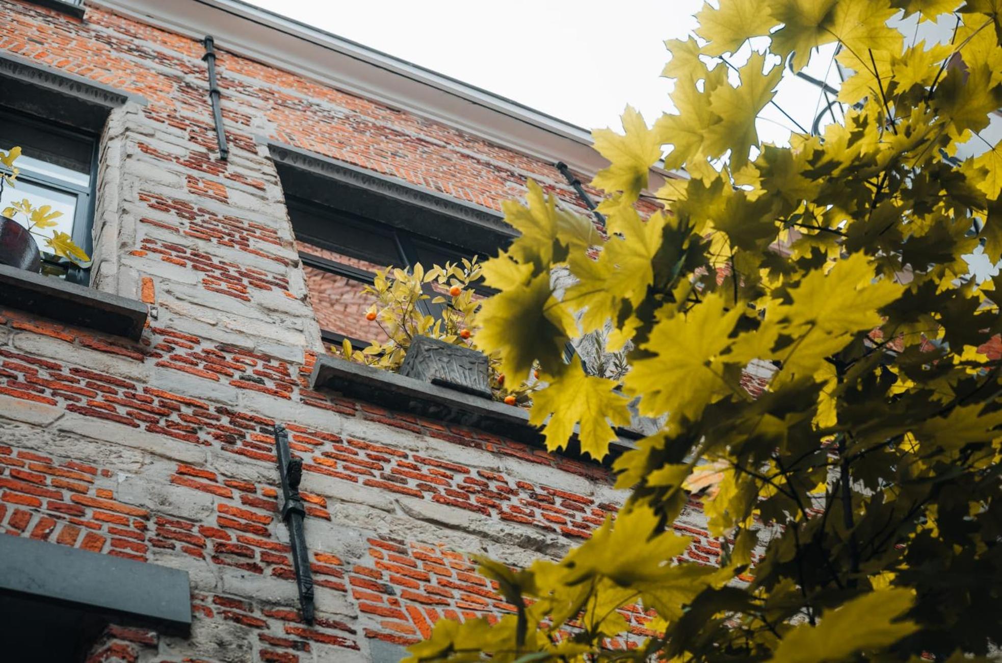 Duplex In Historical Centre With Private Courtyard Apartment *