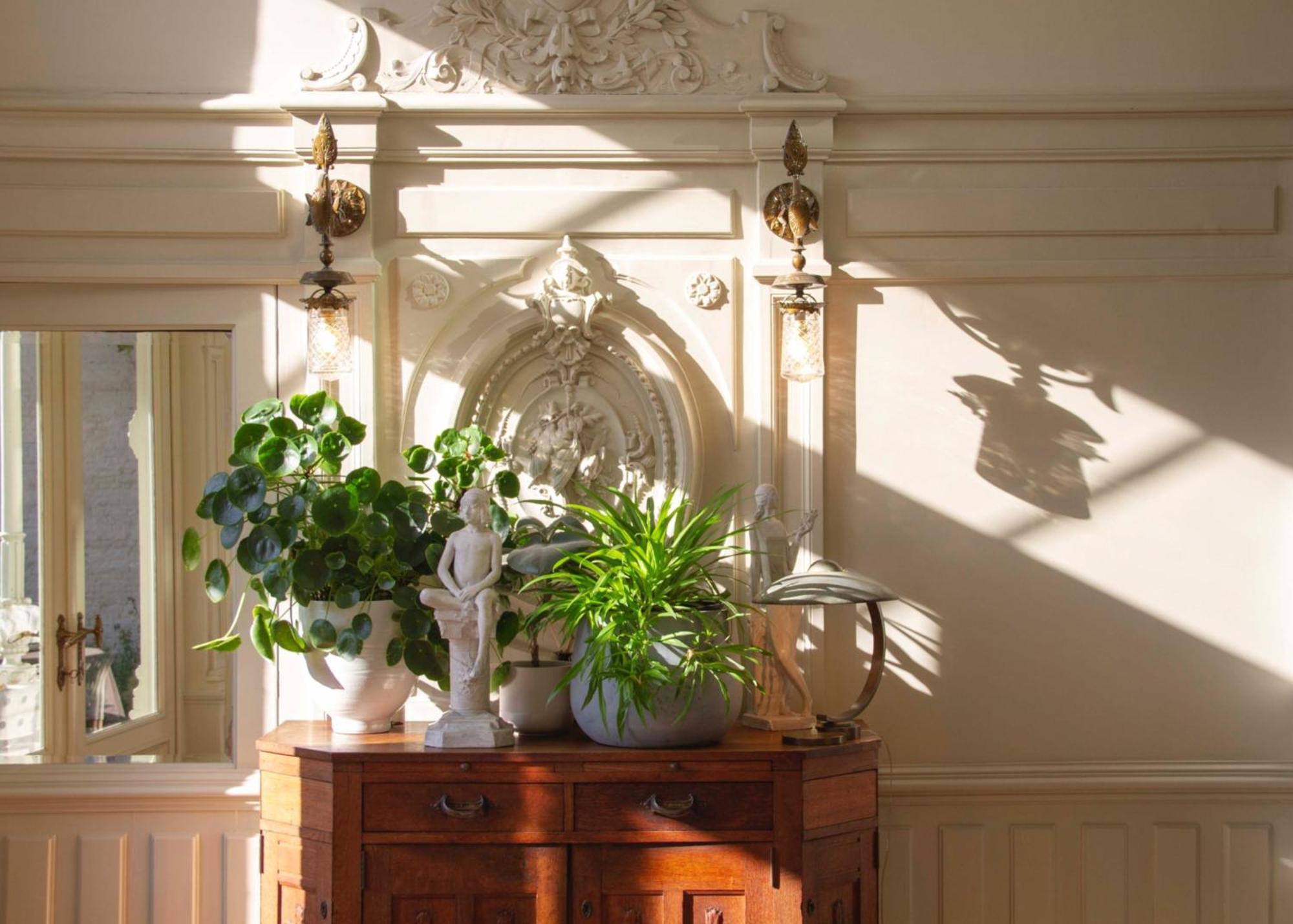 Dujardin Bed & Breakfast