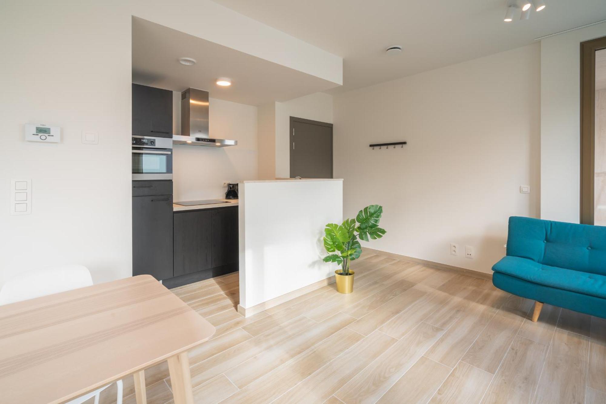 Opera Square In Centre Apartment Antwerpen