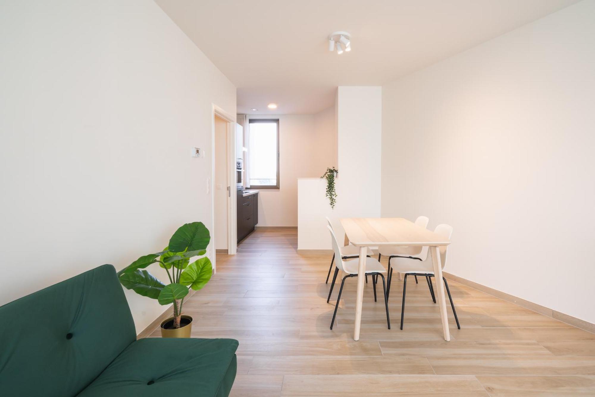 Apartment Opera Square In Centre Antwerp