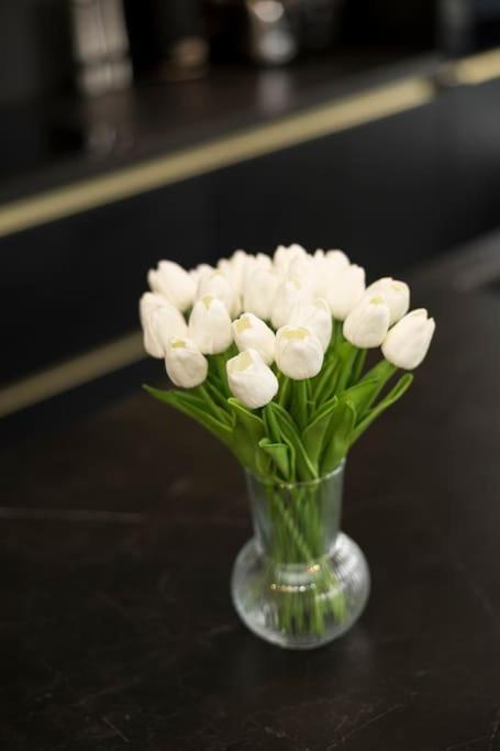 Apartment Designer Flat 3br & Mini Golf Antwerp