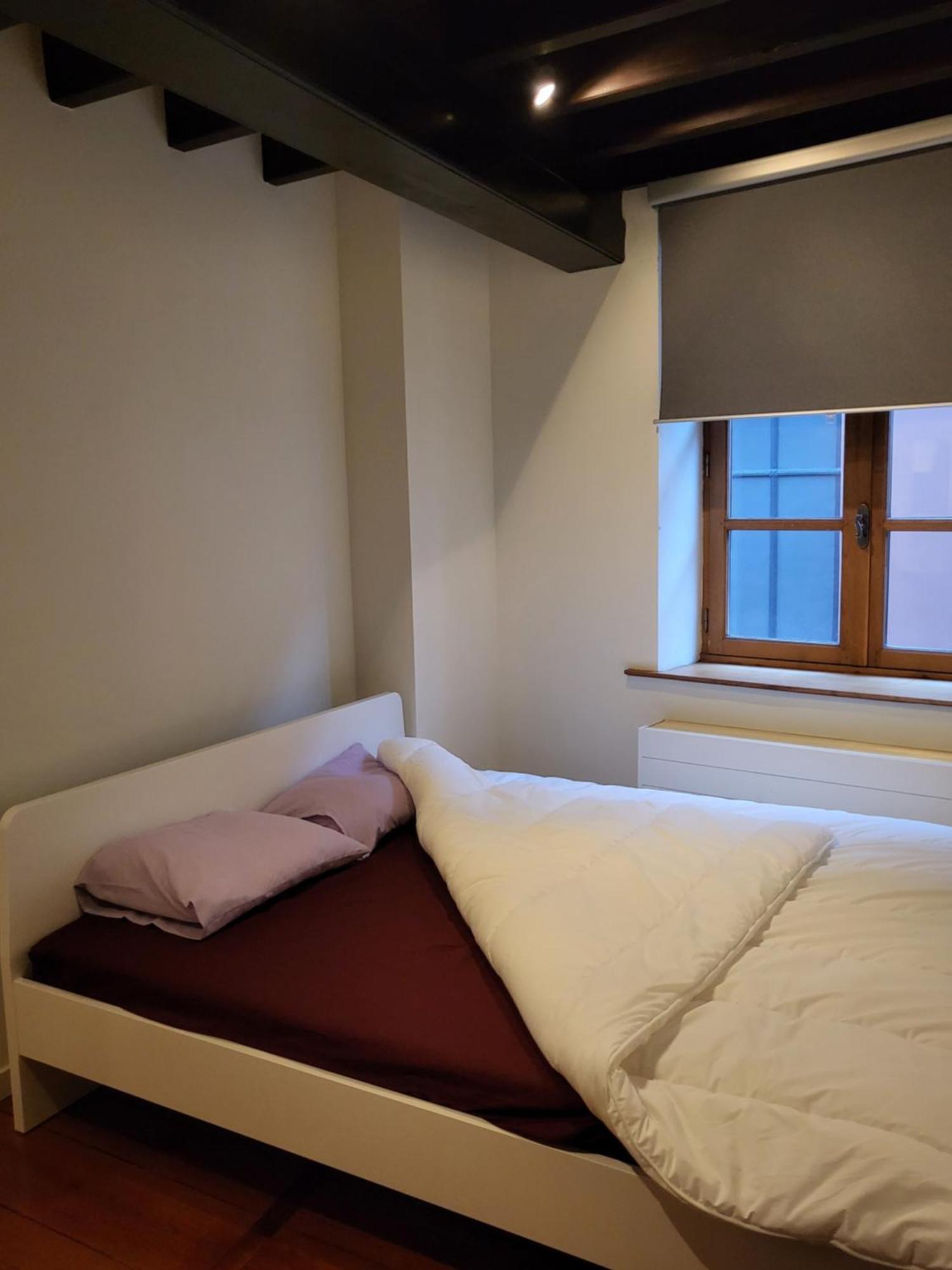 Viktoria Hostel Antwerp