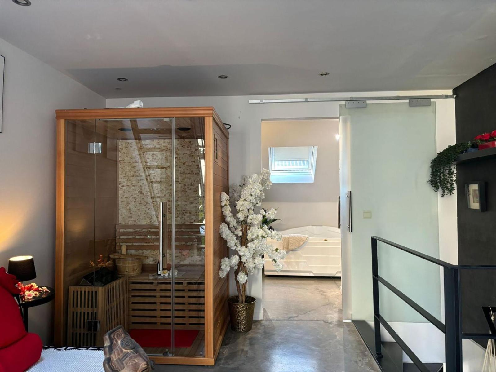 Wellness Loft With Sauna, Jacuzzi, Roof Terrace & Amazing View Apartment