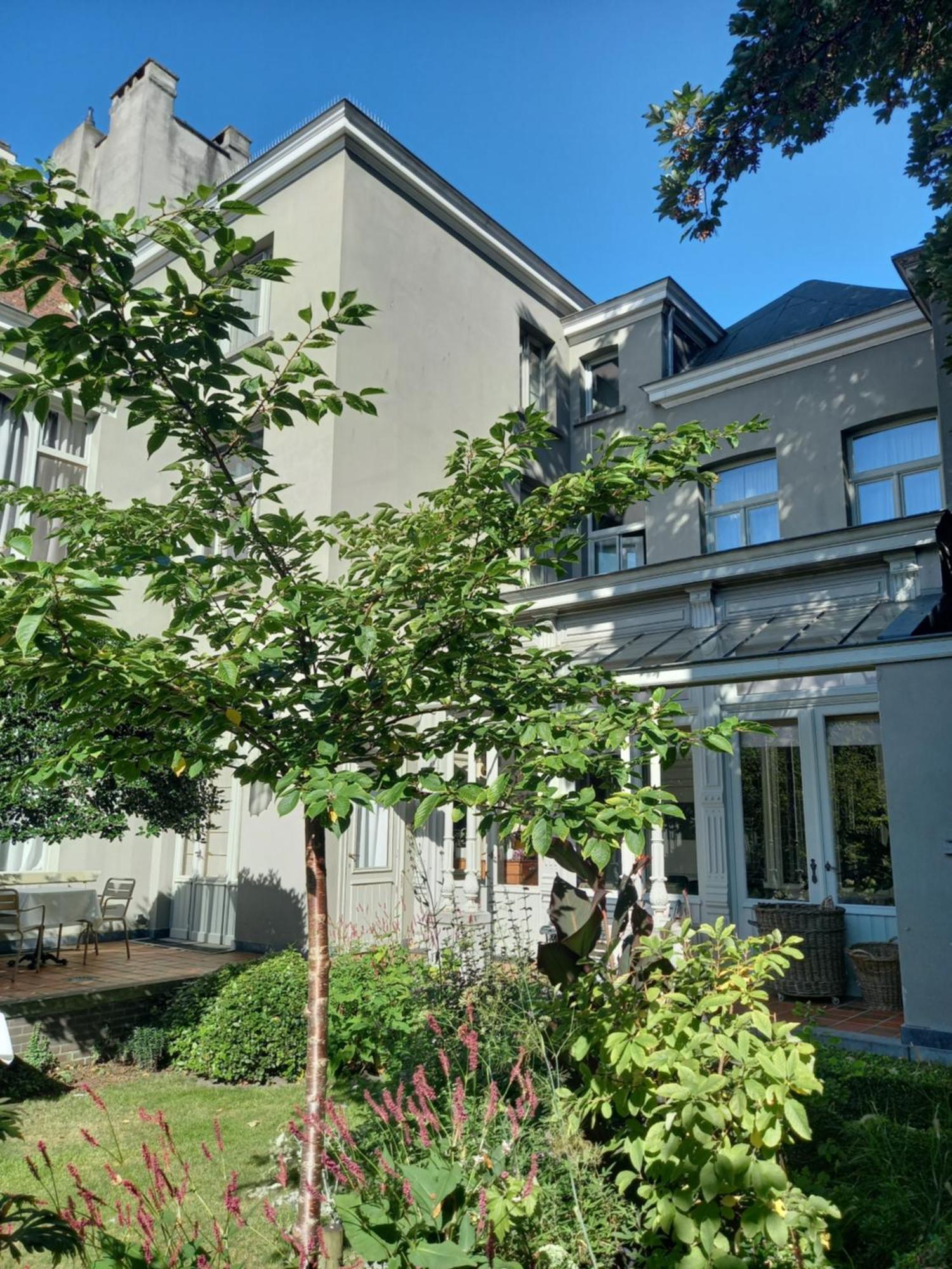 Dujardin Bed & Breakfast Antwerp