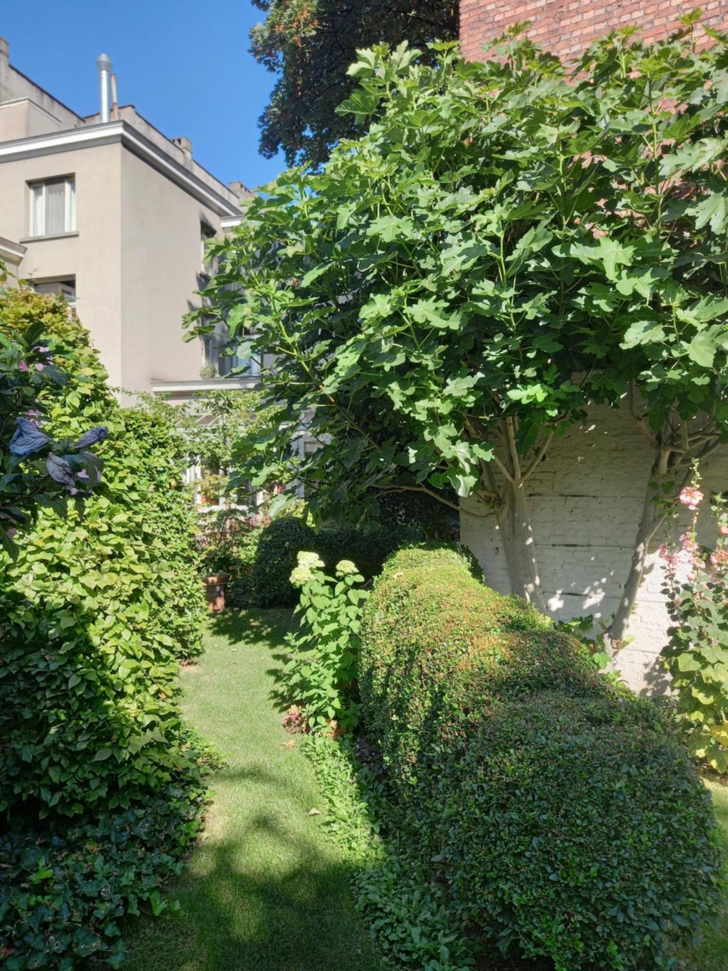 Dujardin Antwerpen
