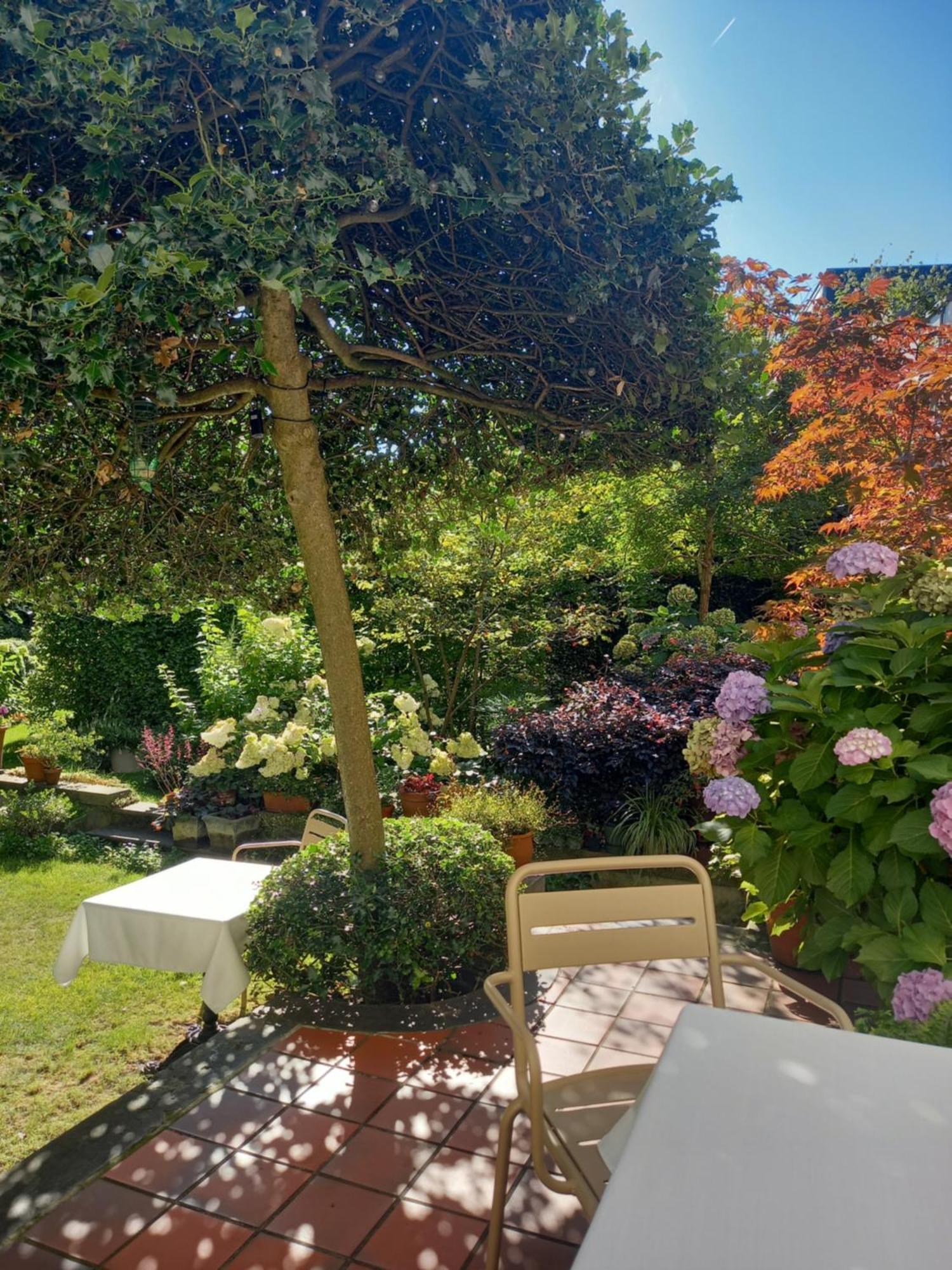 Dujardin Bed & Breakfast