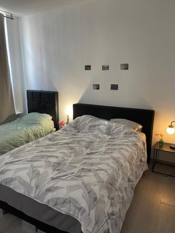 Big Private In The Heart Of Appartement