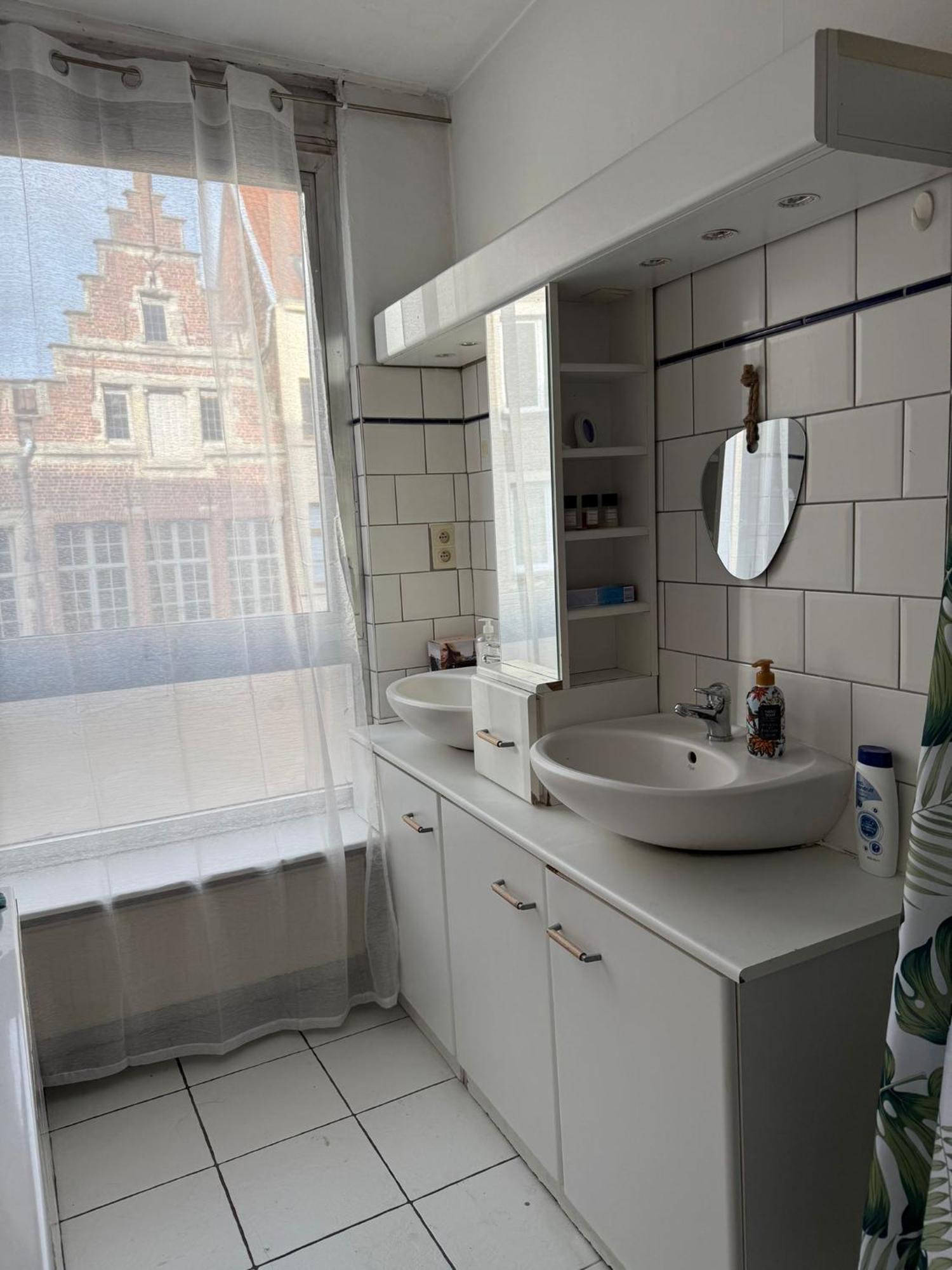 Homestay Cathedral Rooftop - City Centre Antwerp