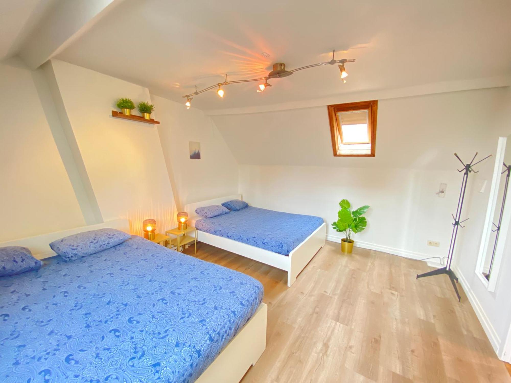 Large Authentic Appartement