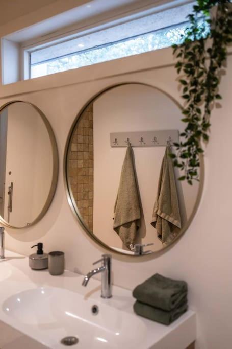 Gezellig Op Het Hippe Zuid Apartment Antwerp