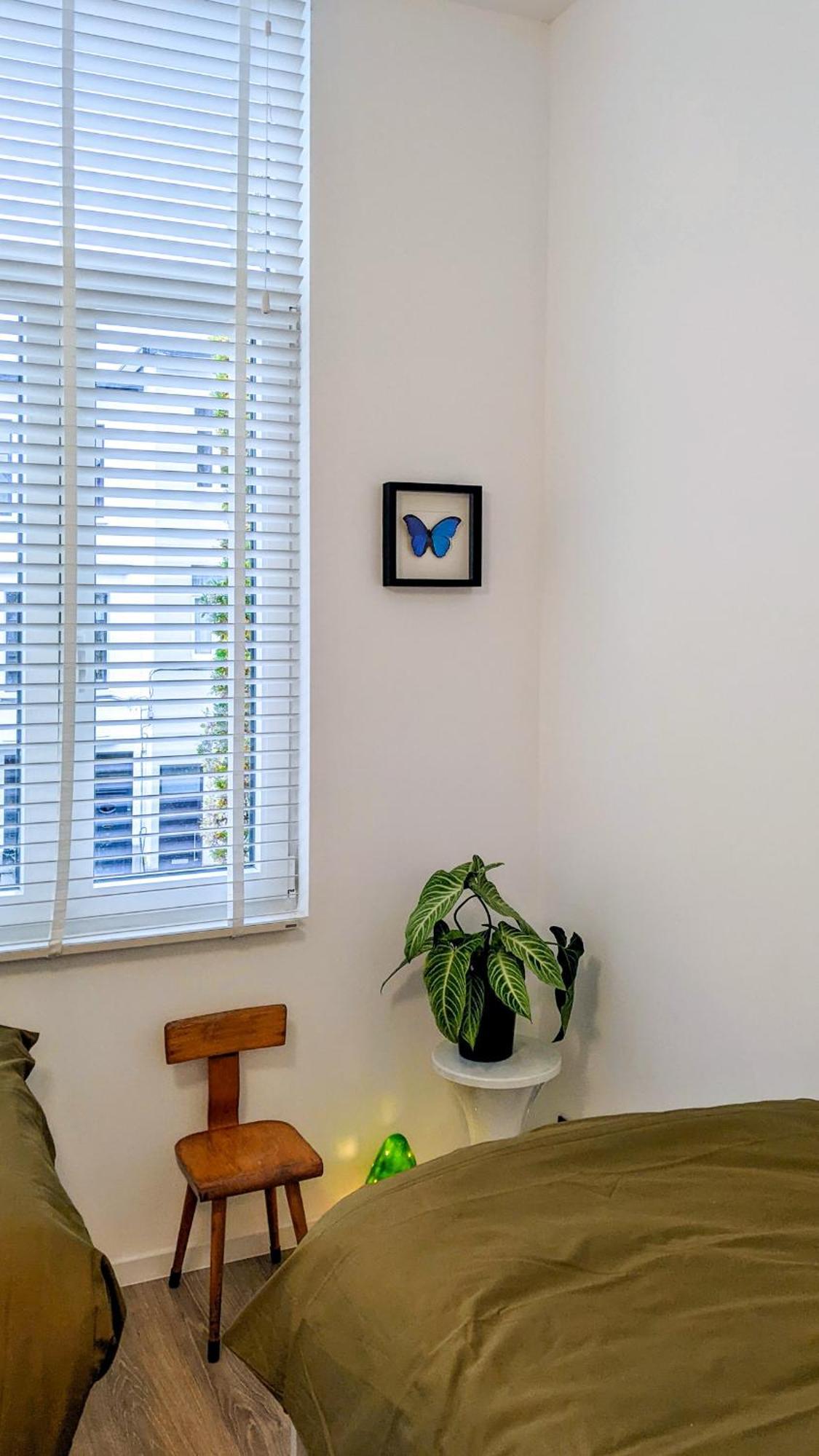 Holiday home Josephine - *