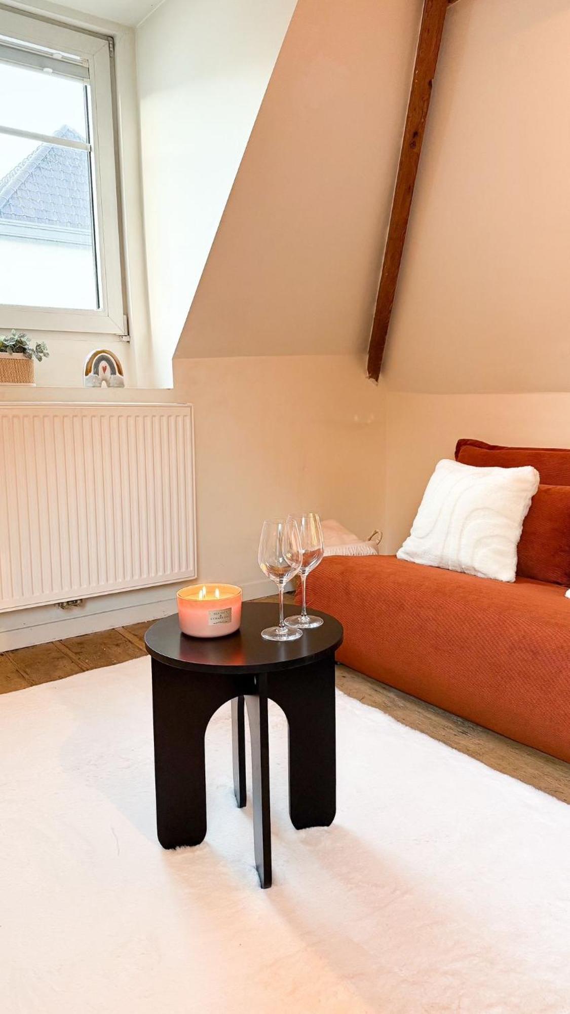 Appartement Cosy Authentiek Penthouse Antwerpen