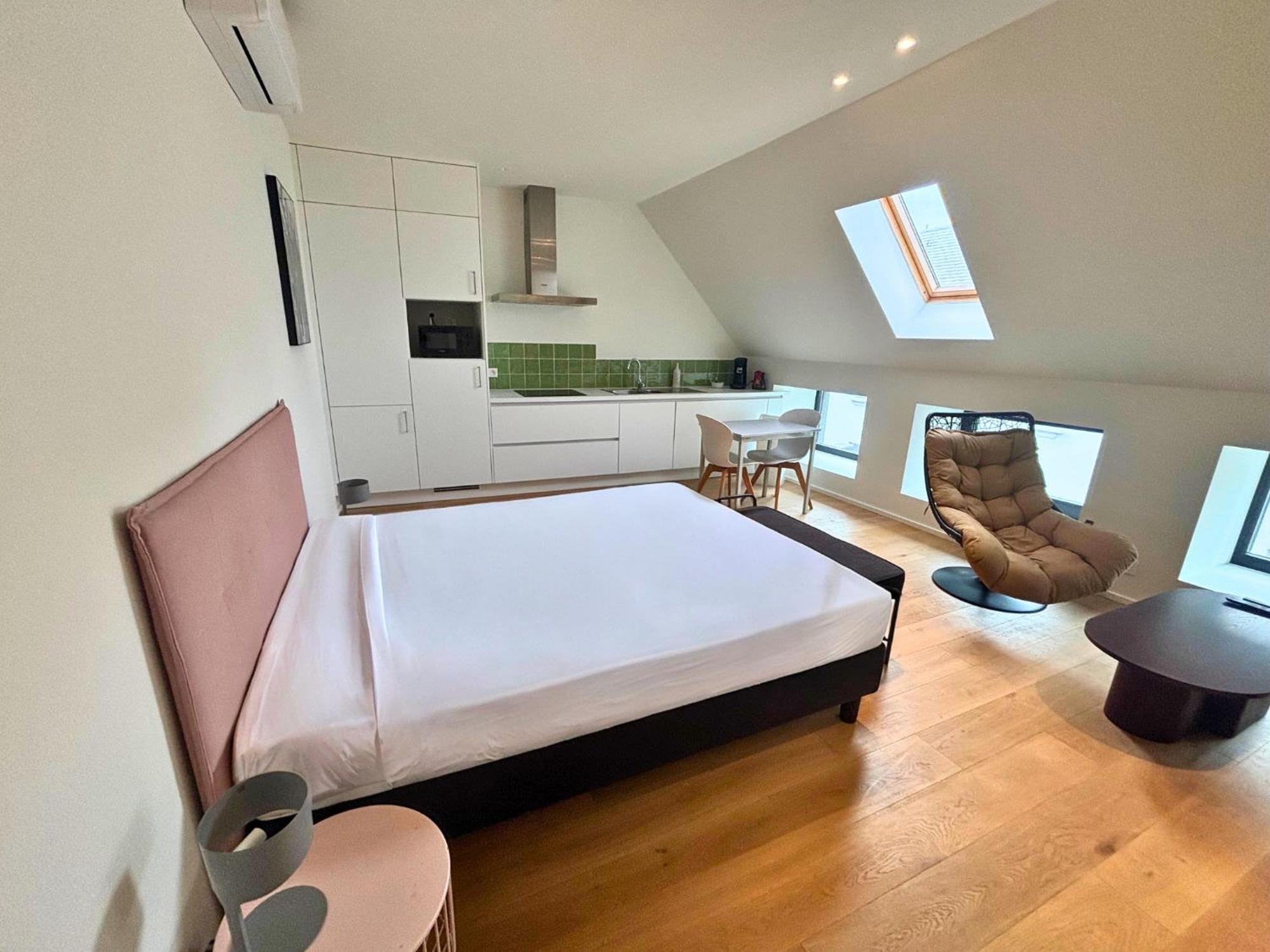 Smartflats - Meir Antwerp Apartment