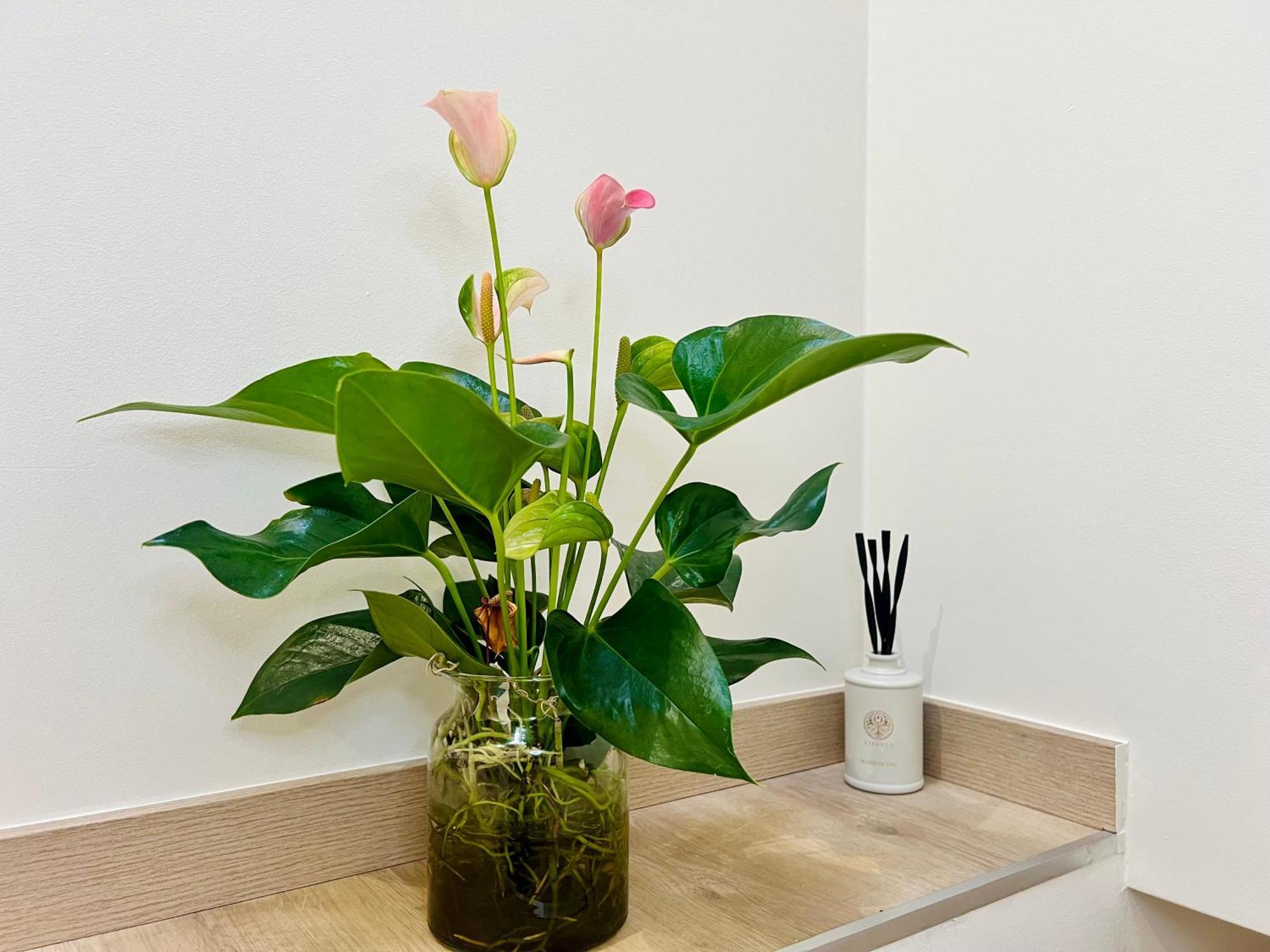 Elegant 3-bedroom * Antwerp