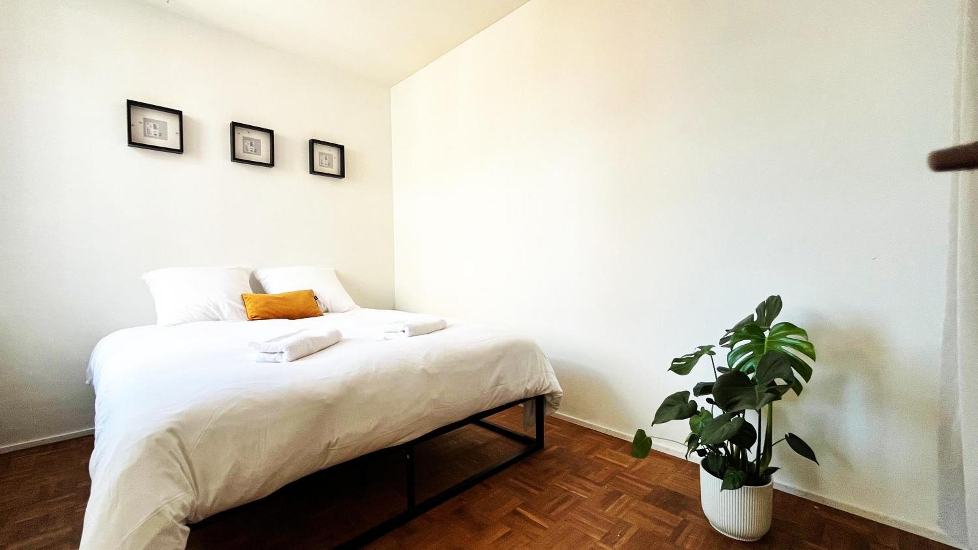 Apartment Artist's Nest
