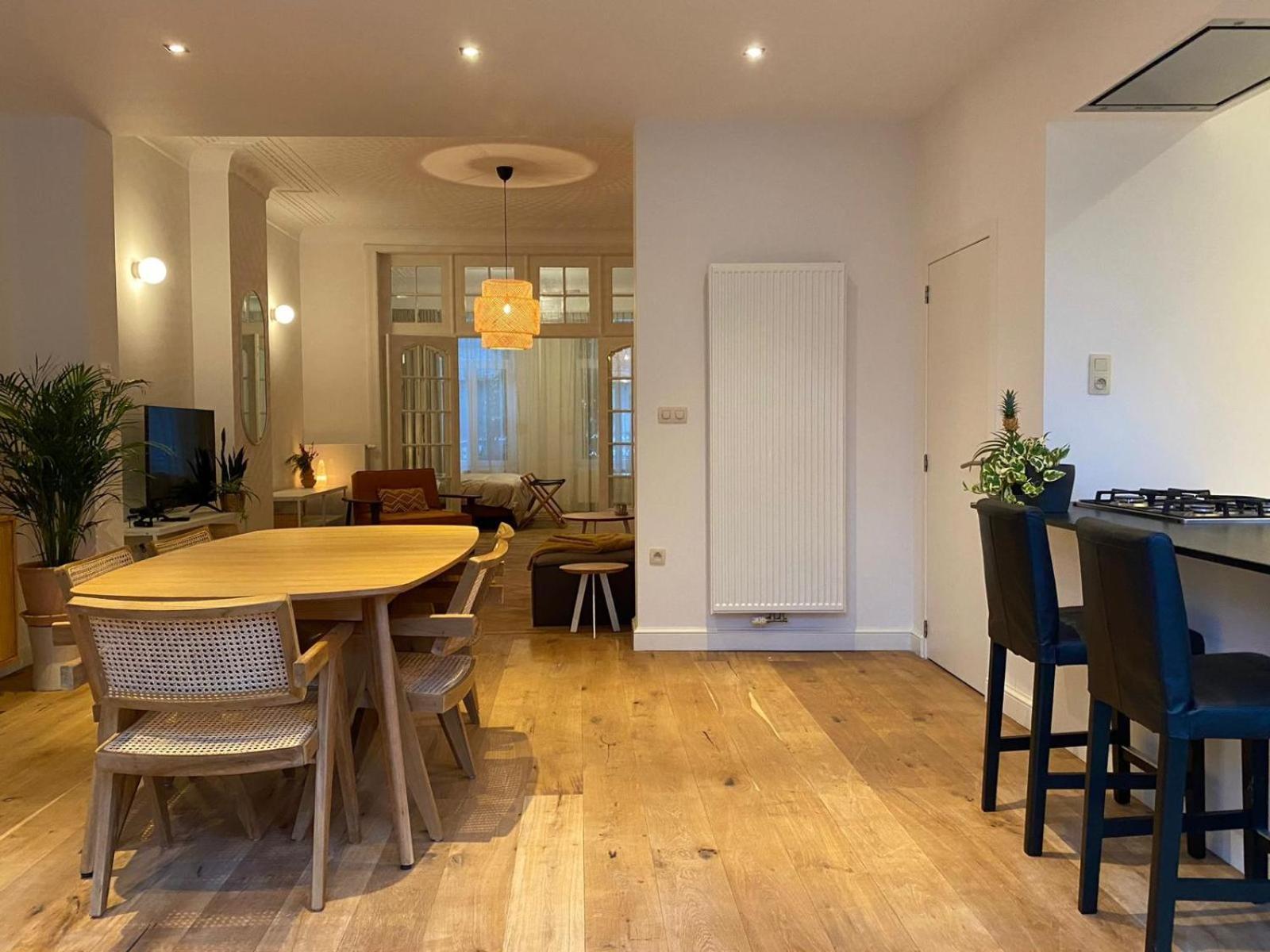 Completely Renovated Apartment Antwerp