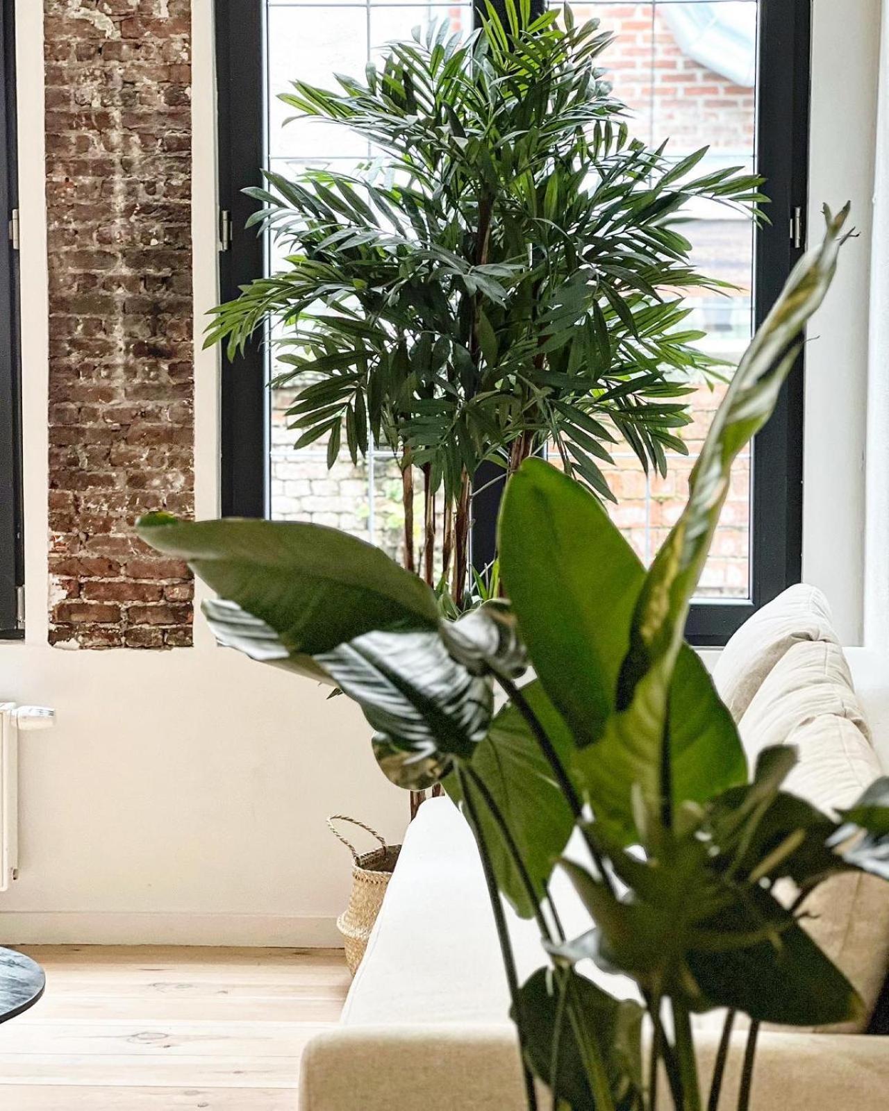 New Spacious Boutique Apartment's In The Center Of * Antwerp