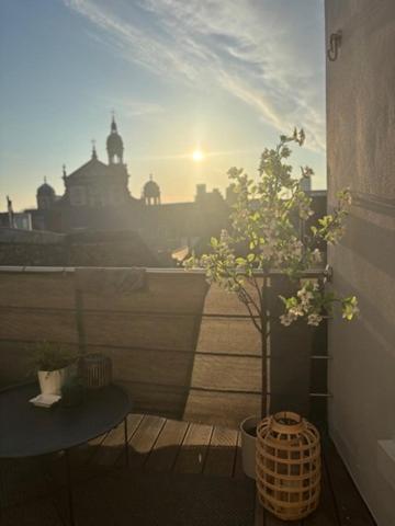 Mooi Licht In Bruisend Antwerpen! Apartment *