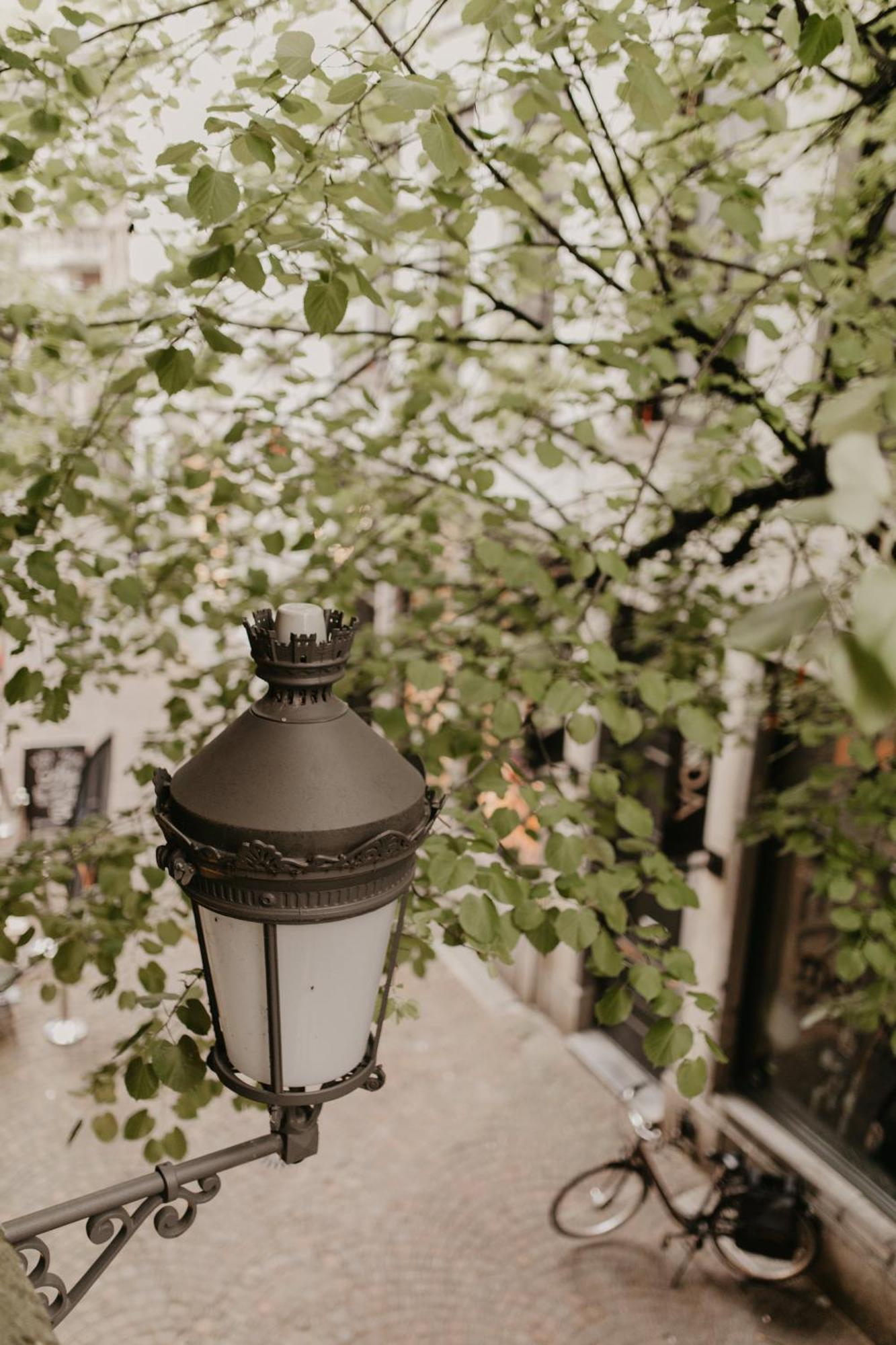 Blue Bird Appartement *