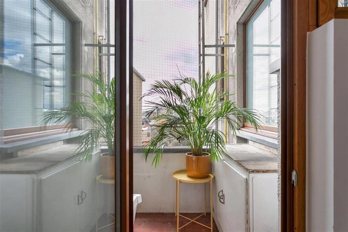 Apartment Stylish In
