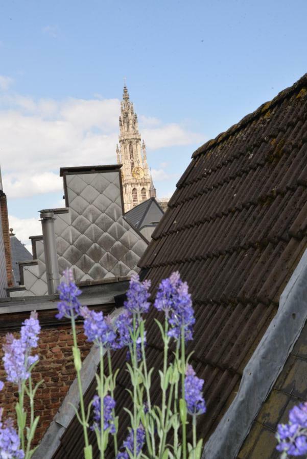 Ferienhaus Huize Amoras Antwerpen