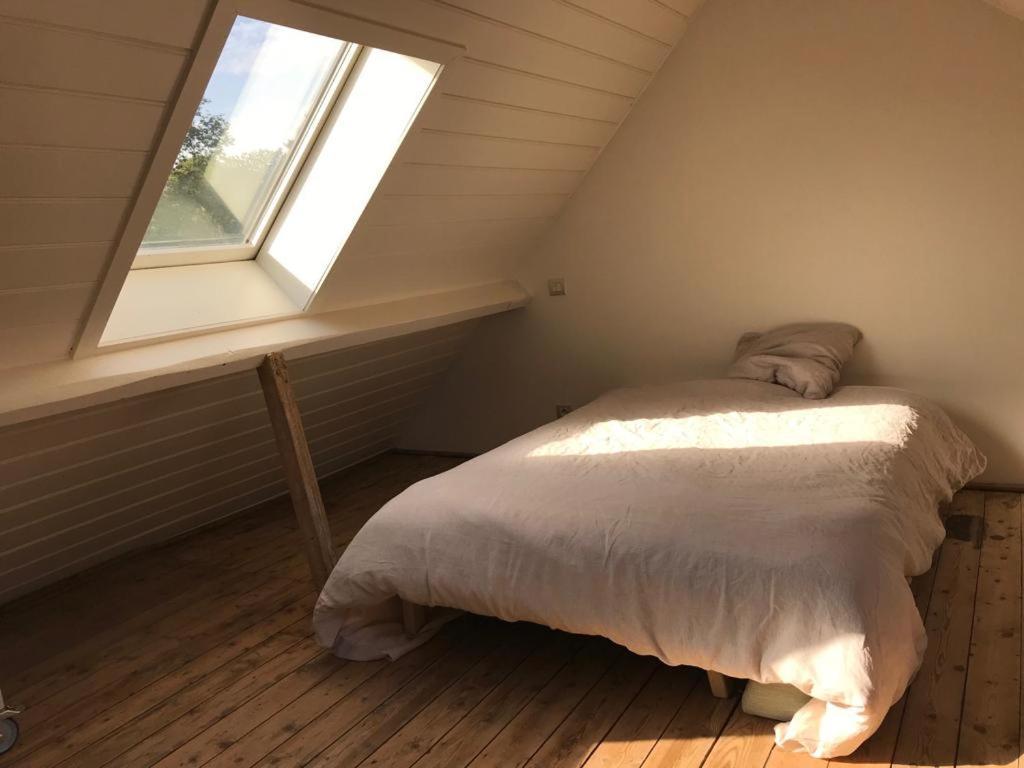 Homestay Minerva Antwerp